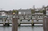 IMG_8873