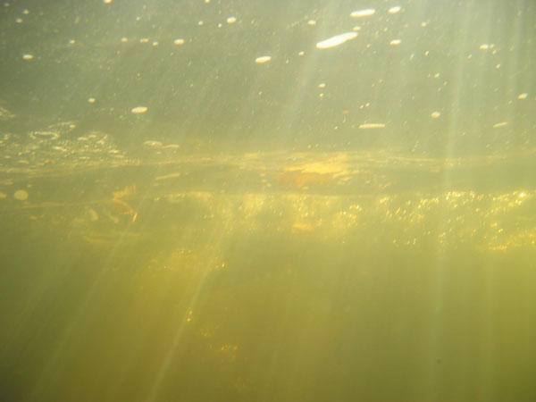 dryway_10_11_03