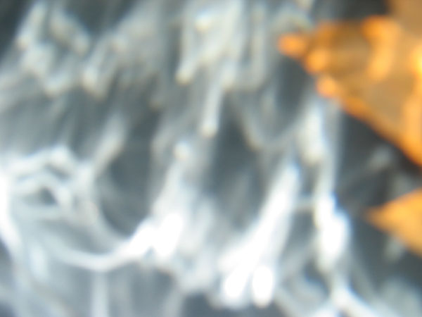 dryway_10_11_03