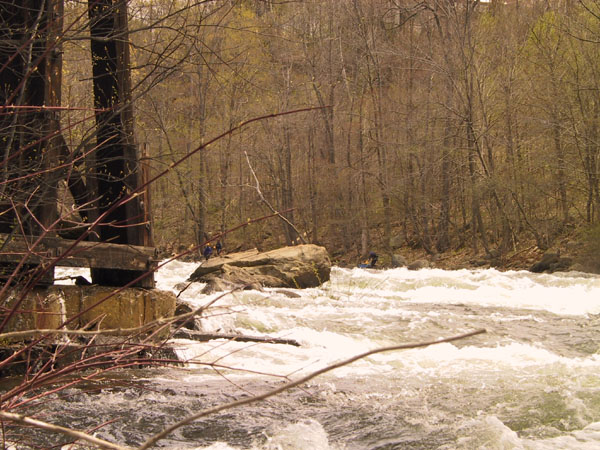 231-3180_IMG.jpg