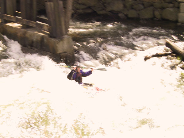 231-3186_IMG.jpg