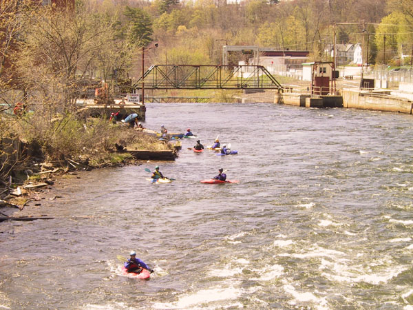232-3203_IMG.jpg