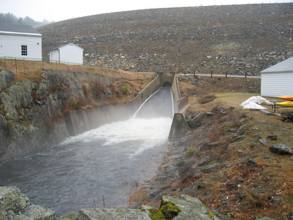 100_0008