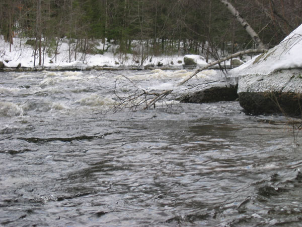 100_0028.jpg