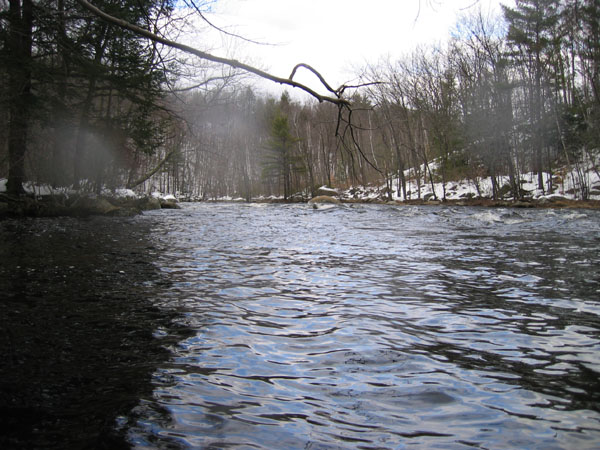 100_0034.jpg