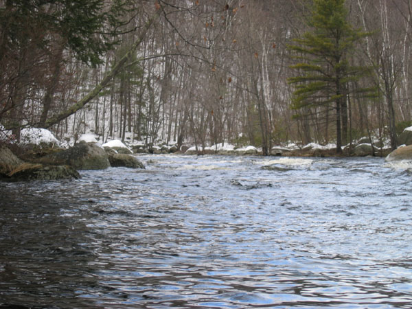 100_0036.jpg
