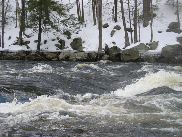 100_0038.jpg