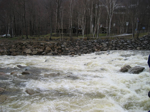 IMG_0061.jpg