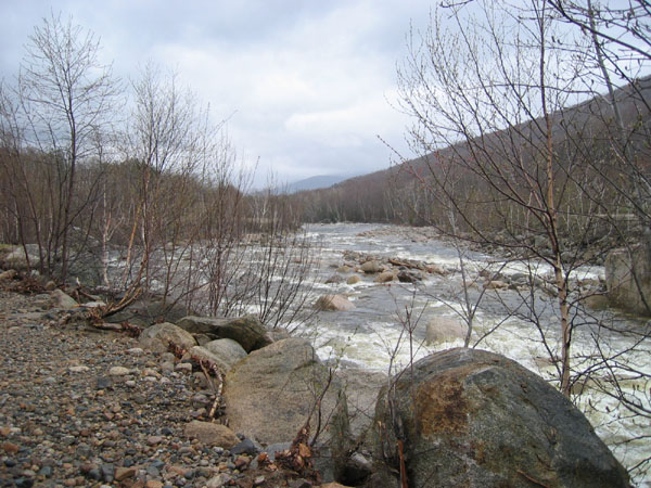 IMG_0073.jpg