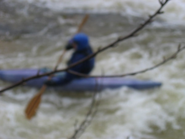 IMG_0076.jpg