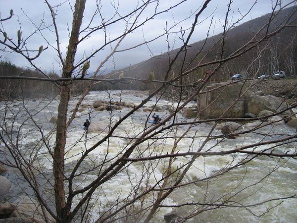 IMG_0079.jpg