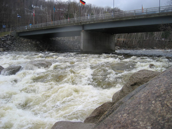 IMG_0080.jpg
