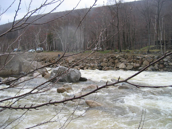IMG_0082.jpg