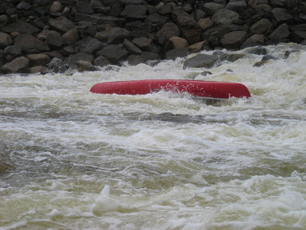 IMG_0115.jpg