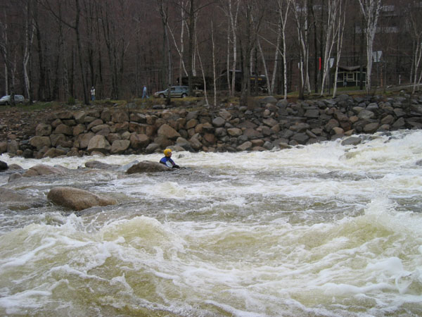 IMG_0128.jpg