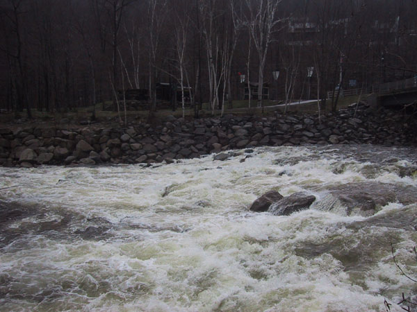 IMG_7184.jpg