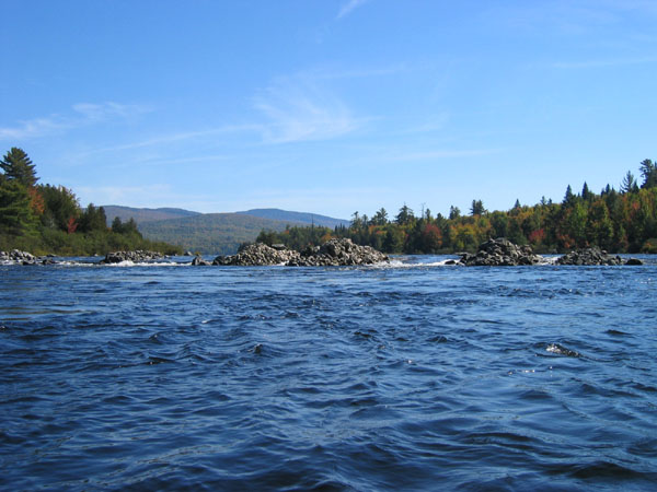 IMG_0024.jpg