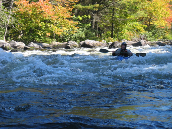 IMG_0038.jpg