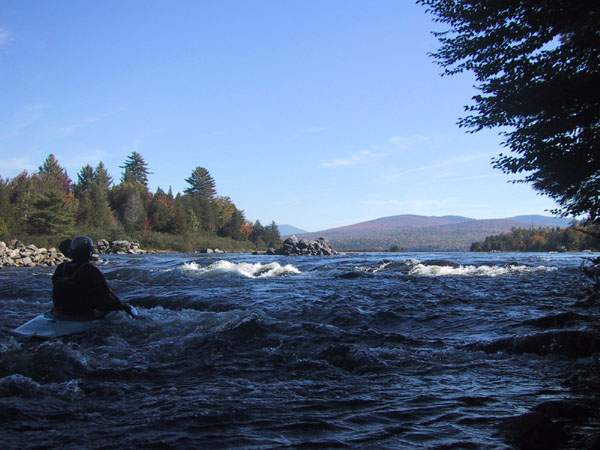 IMG_7739.jpg