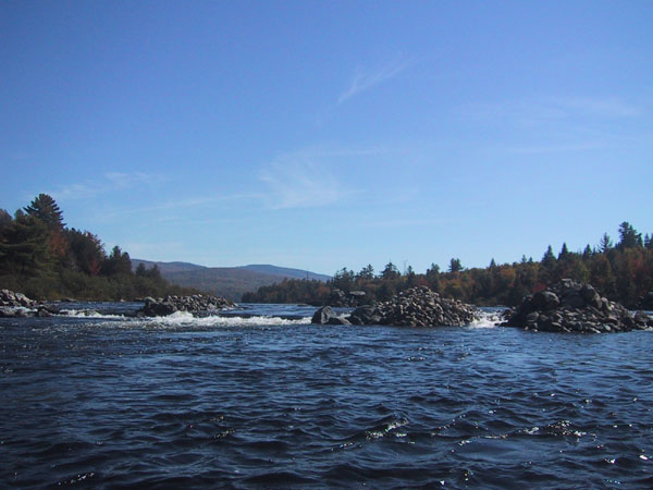 IMG_7743.jpg
