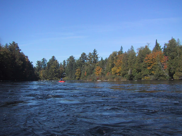 IMG_7744.jpg