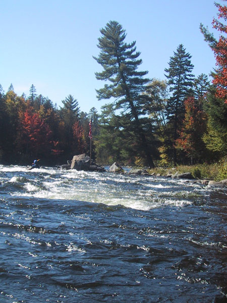 IMG_7745.jpg