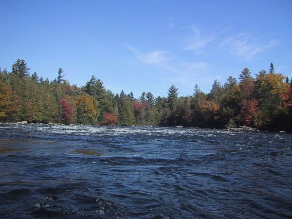 IMG_7747.jpg