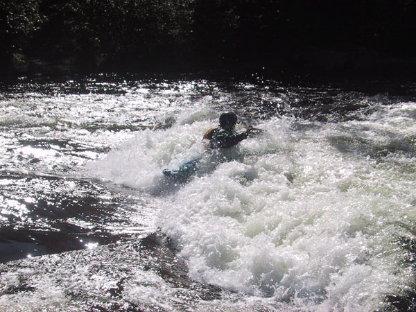 IMG_7762.jpg