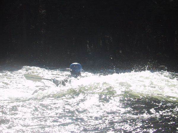 IMG_7771.jpg