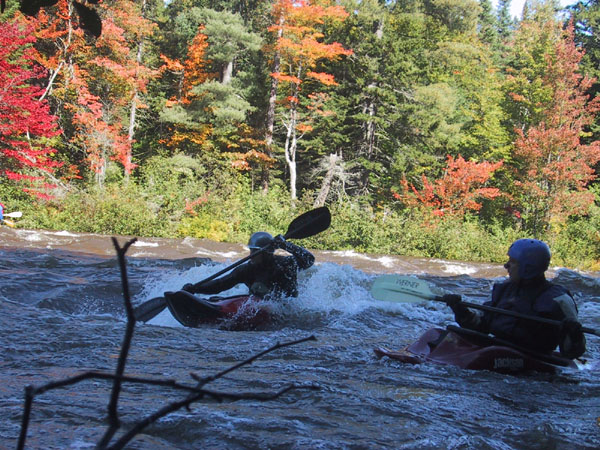 IMG_7705.jpg