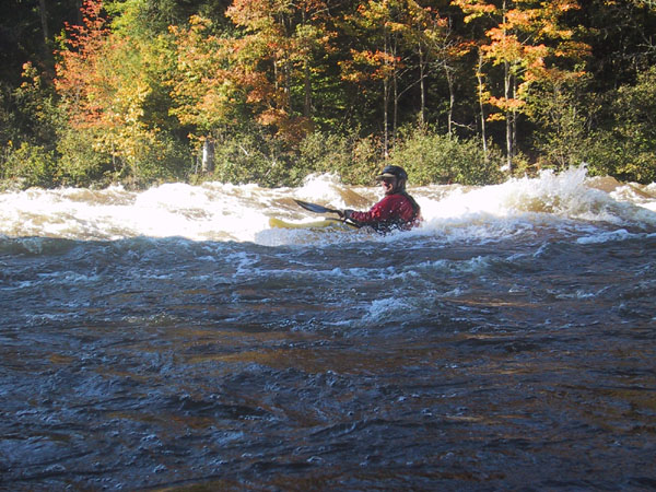 IMG_7737.jpg