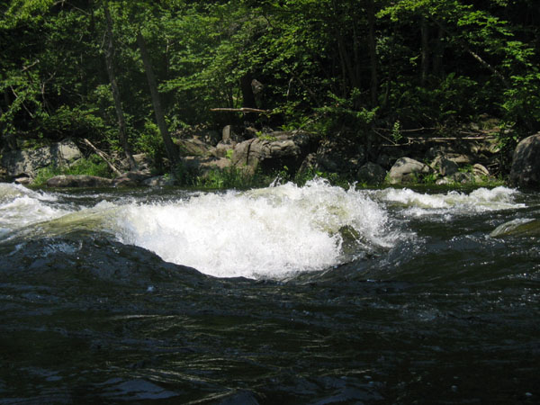IMG_0077.jpg