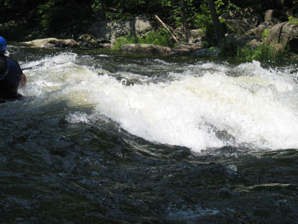 IMG_0114.jpg