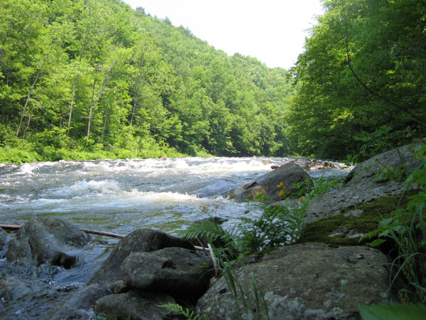 IMG_0141.jpg