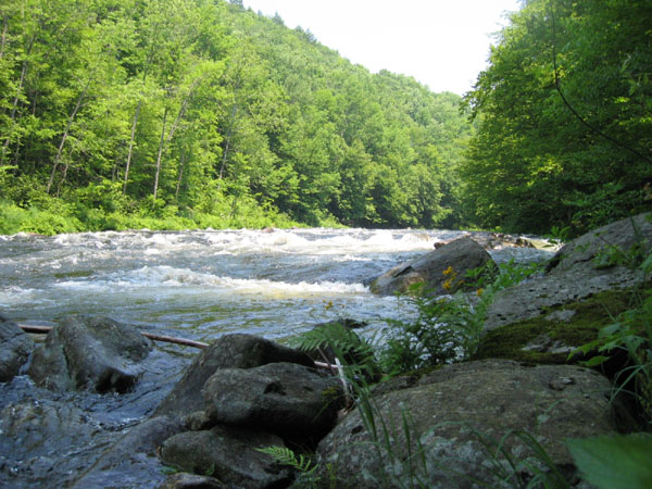 IMG_0144.jpg