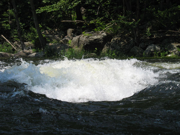 IMG_0166.jpg