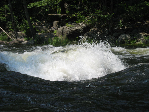 IMG_0167.jpg