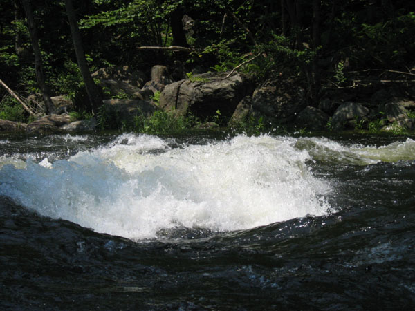 IMG_0179.jpg