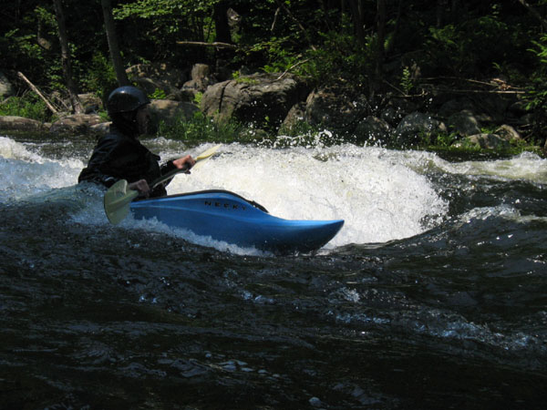 IMG_0196.jpg