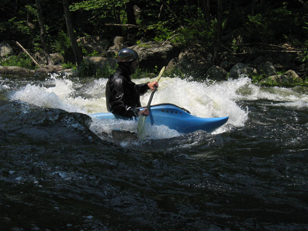 IMG_0198.jpg
