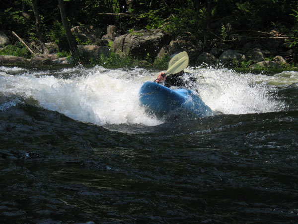 IMG_0201.jpg