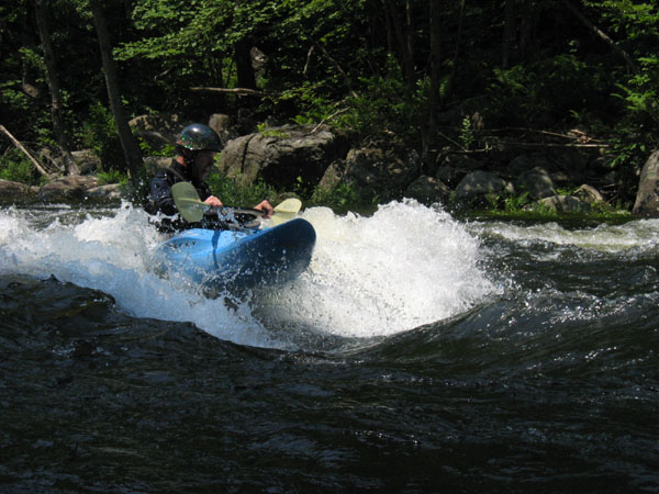 IMG_0203.jpg