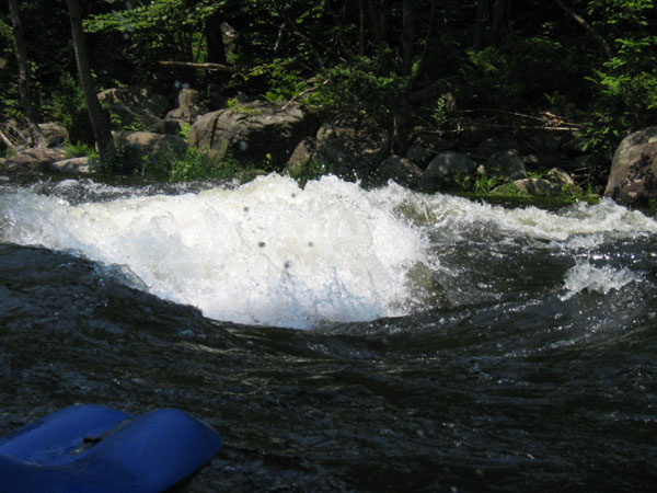 IMG_0219.jpg