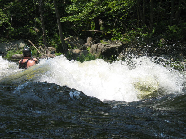 IMG_0228.jpg