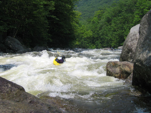 IMG_0280.jpg