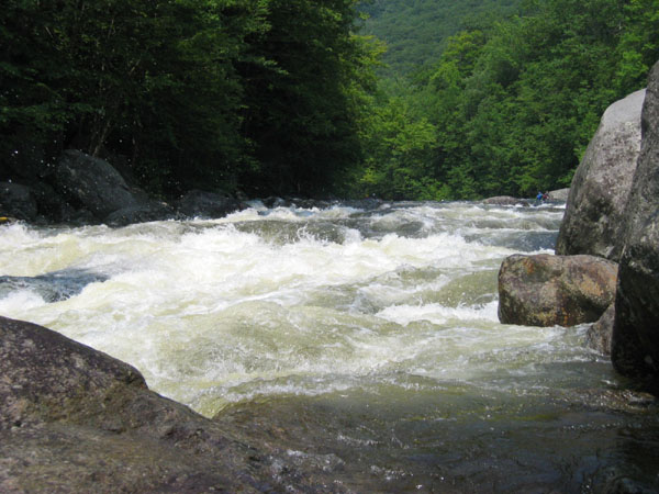 IMG_0283.jpg