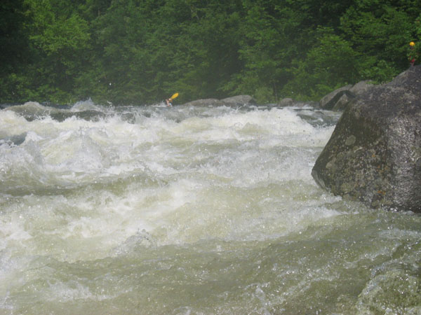 IMG_0417.jpg