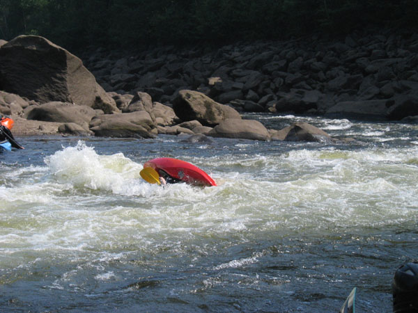 IMG_0478.jpg