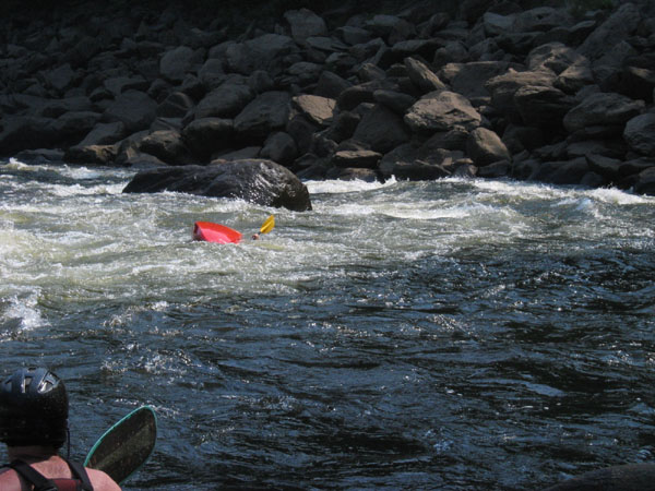 IMG_0481.jpg