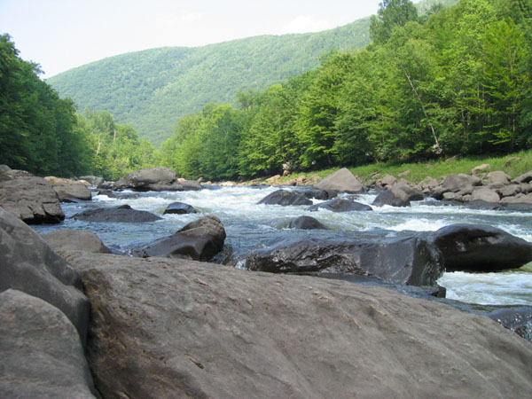 IMG_0597.jpg